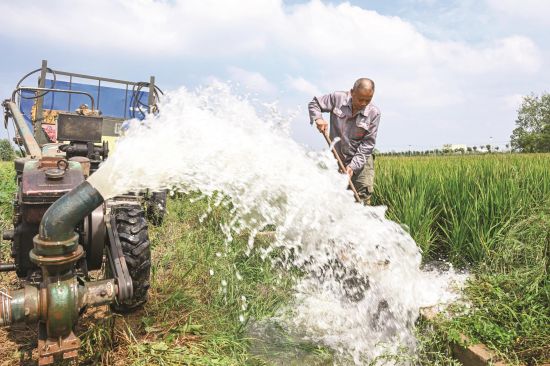 ac9f942d-fdd0-42c3-a698-f41f1ae27036