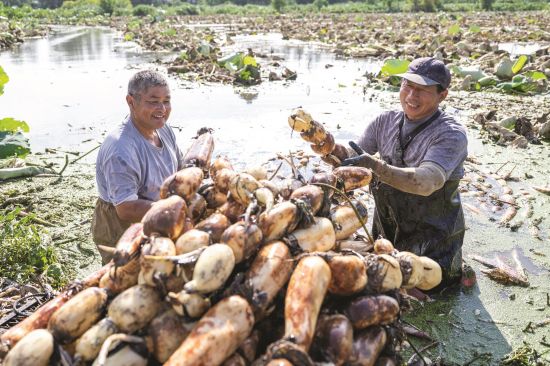 990a67c3-17ff-4a27-91c3-bbce23126335