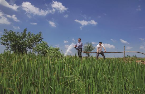 63d99656-a713-4c73-a4b2-ad3b4c536e25