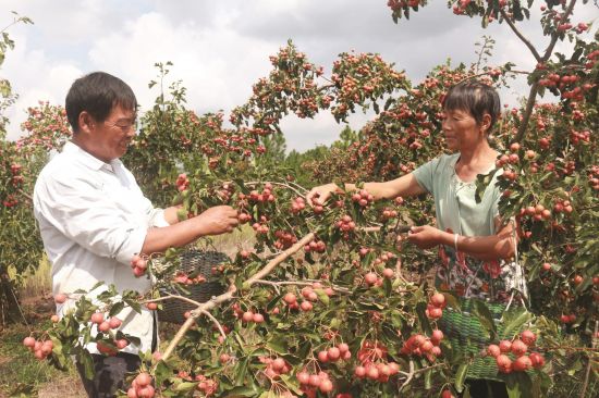 a7235e5b-4d7e-49eb-bb84-9b33c7916e96