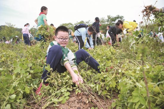 ada214fe-90ea-42ab-b46a-be0649afc811