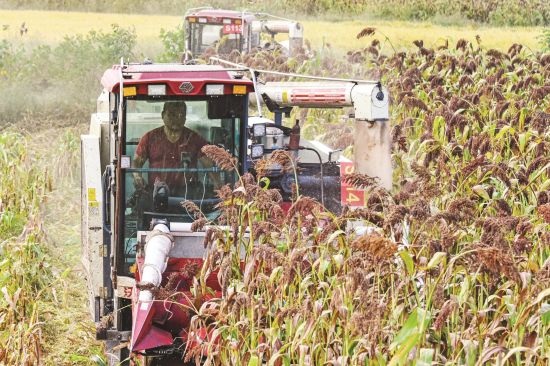 72871e54-12fa-4a7f-972b-f7ea9f373a67