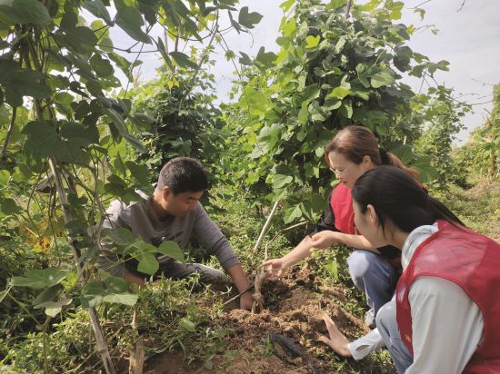 b1a2bc45-ce6c-4b0c-b9d0-a60747fab820