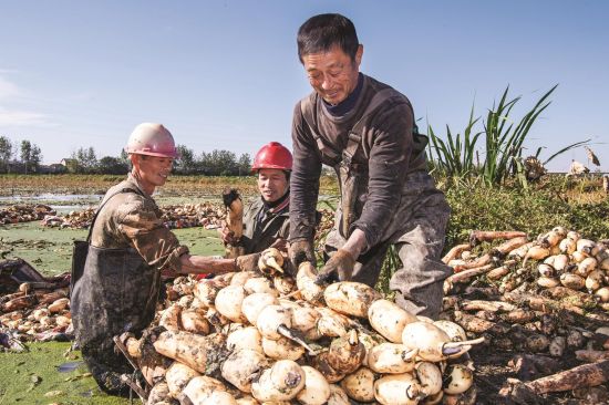 da9ccc08-55d3-4063-8e50-d411d84ed608