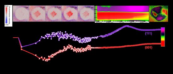 1129061845_16655736157321n