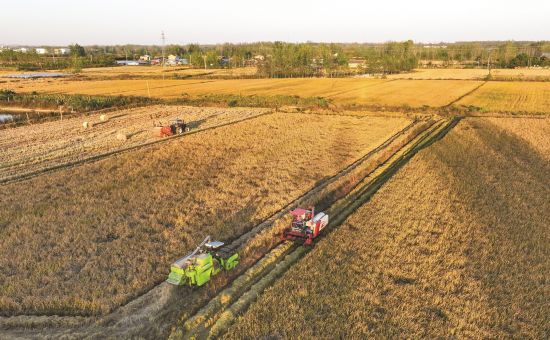 7d2fd6ba-1a50-4f12-a161-de6ebe02ff8f