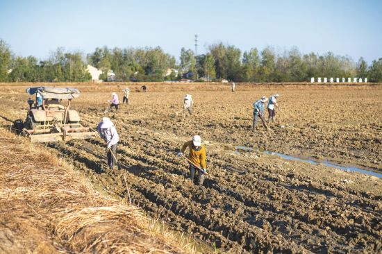 c82a245c-9cc8-4b98-846c-0e37953c5756