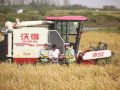 田间地头护秋收