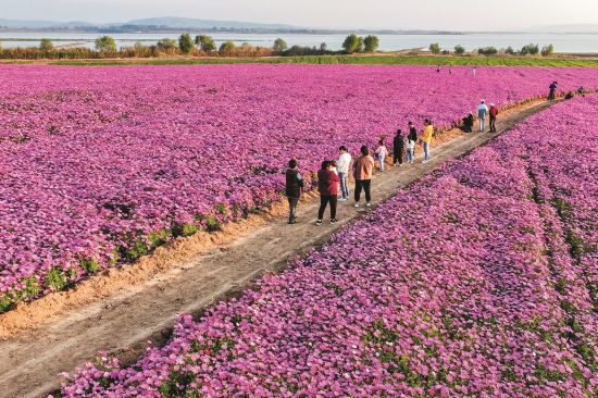 f7c3daee-e997-4f83-8bc4-b0e69cded1c8