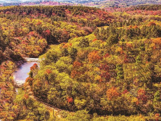 71cd8d8e-ef7c-44f5-9a79-6fd12f3dff01