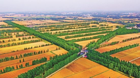 50ab56ea-5bfc-423b-ab3c-1d409dd01434