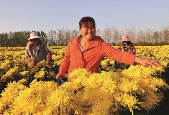 1b8a1a5e-b186-4bd9-bd95-fa8913d7e9c2