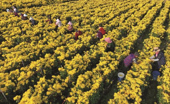 2beb5a2e-8a0a-482f-8a95-7754b0935065