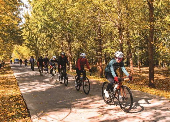 80d53941-b4e4-413d-8e62-8ff163e40be8