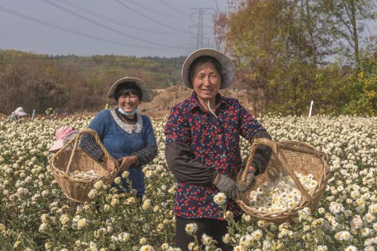 f36ddec8-7aa7-41ce-8502-8f0d02a15c02