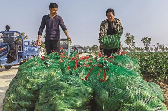 d7fa3aa4-4084-4b48-91bf-9b5afe49df24