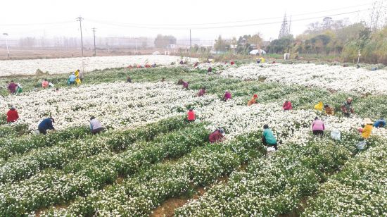 5370d513-6a89-49f5-b276-a4a4b5451dc3