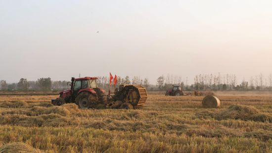 5e5ba229-183d-4b8b-83ac-83625fb151f8