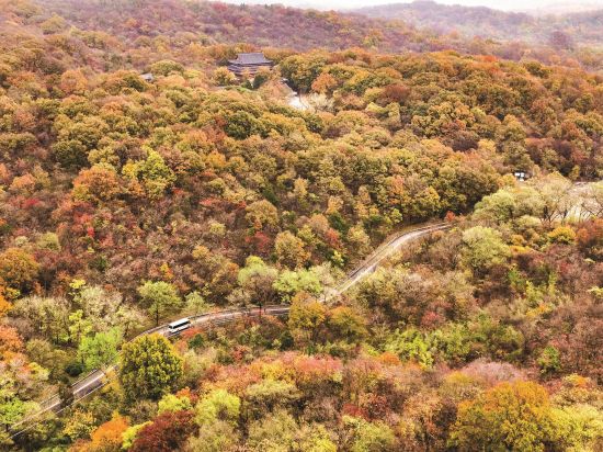 488f21cb-4045-45f6-9a93-db252a01d850