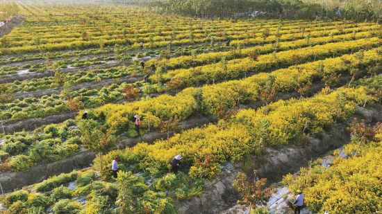 877d6173-a66d-4700-b797-e8e1de2dd5b7