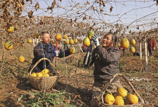 55a12a92-4b3c-49be-9488-bec5b3bc701f