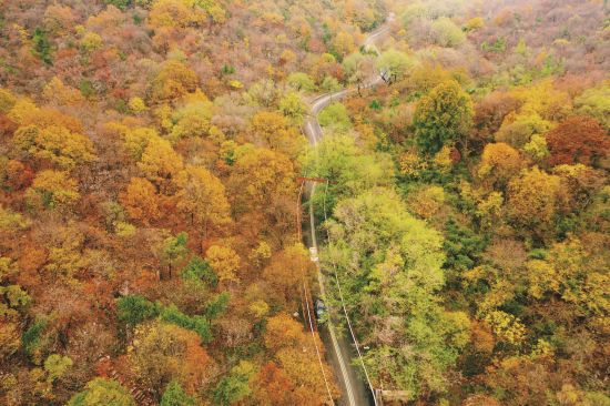 40fb44ba-e46a-4ca7-b92e-5dd0b998402f