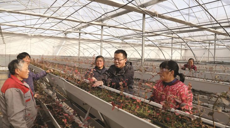 科技育苗 提质增效