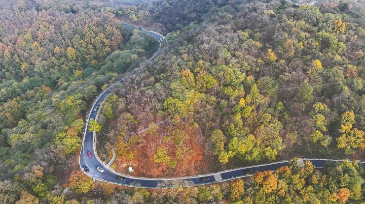 【安徽日报】椒岭赏风景 体验慢生活