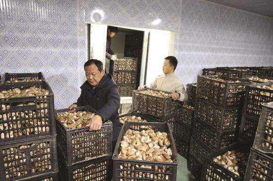 39122dfb-8f65-491a-9a78-baa61d8df0a9