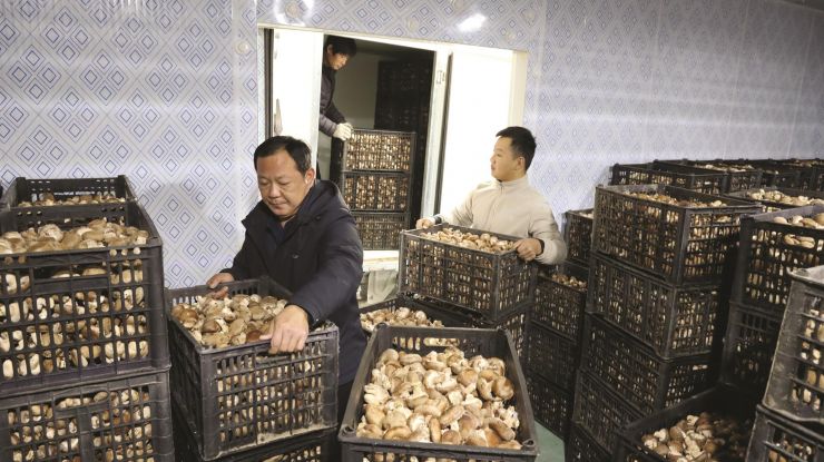 示范带动 助农增收