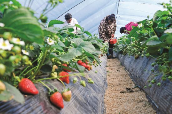 4d8c63cb-9907-4ba7-85d4-c9e5d2bd51b2