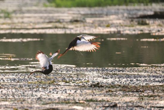 e5ab5298-2d75-47da-a128-df58ebf97444