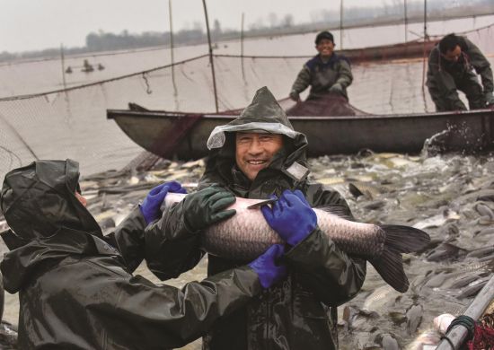 6ae3ccf8-8e62-4349-b360-5b92a184a1b1