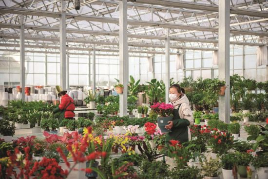 17ebf5f8-63a4-418c-a006-4c1b2a620b44