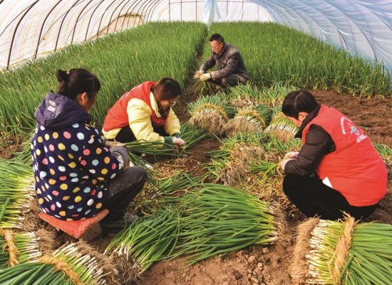 75e55c99-0aef-4d8a-ac45-bd628351fecb