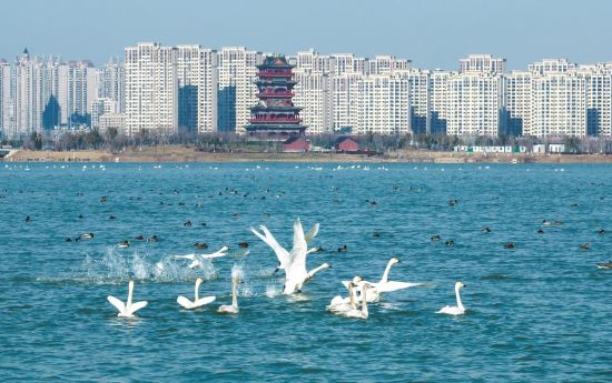 1b01d933-0190-4771-822b-00966566278a