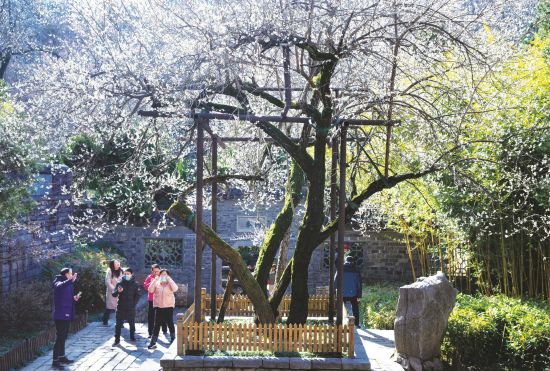 d2ff0cda-f02a-4715-a721-9bd2f4f8c1df