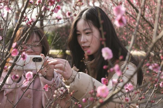 5dae8935-13a6-4309-84b5-b05d43e4b5bf