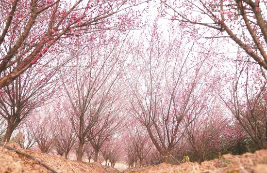 d5b55646-dbab-4c8d-847c-9307a182f3f6