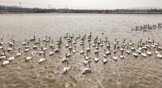 6e27d9be-e0d8-43b5-9cf6-f326b9abad56