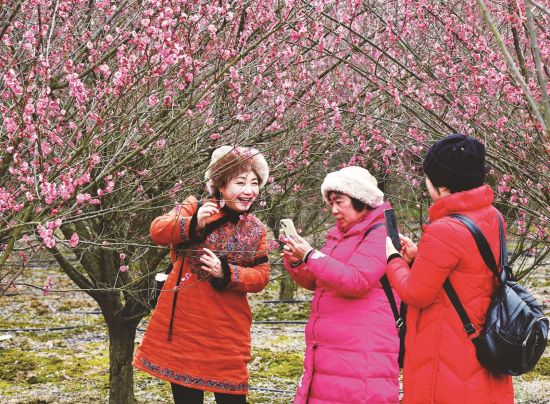 73420ebf-b3db-4fe7-8578-45048fd62a7d