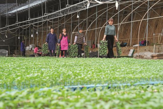 fe1516cd-da77-4fd3-84ad-2ba46d8fb6b2