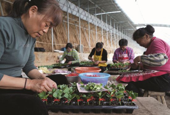 56191e03-513e-4bb3-8ffd-9e37cebd781a