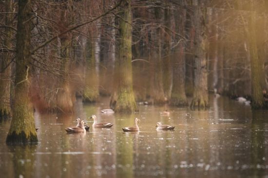 a78d097a-2dac-4b55-b76f-f5daf837a309