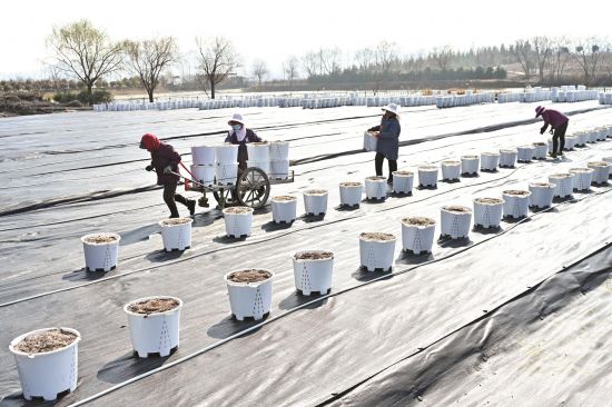 7864313e-5d3a-4082-932f-ce406b8d89e6