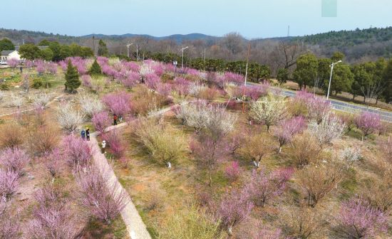 24f3030b-df6d-4721-b9f1-76c706bcd165