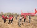 阳春三月学雷锋 植树护绿我先行