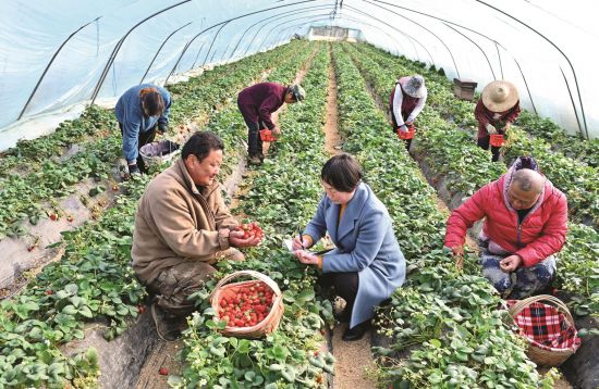 896d09c2-da50-435a-8375-3e6cf92d98da