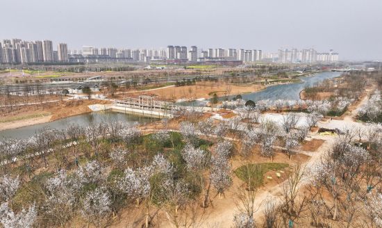 994a01ff-1647-4935-b3ca-942f48b51a4a