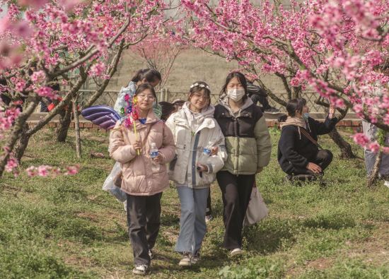 52822ea6-0517-4eb9-8e4d-0507d7a06225